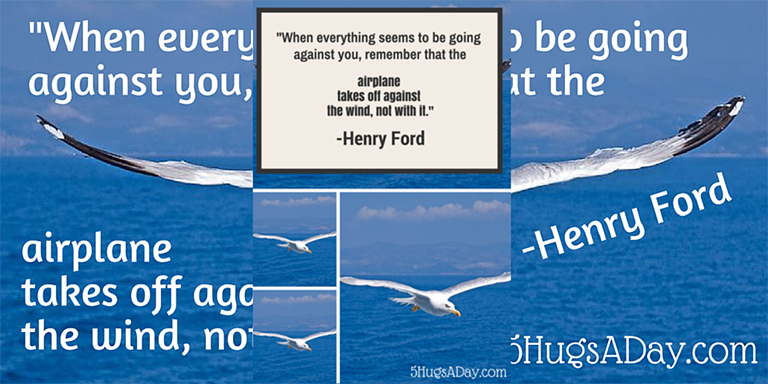 Soaring With the Wind via @5hugsaday | 5HugsADay.com