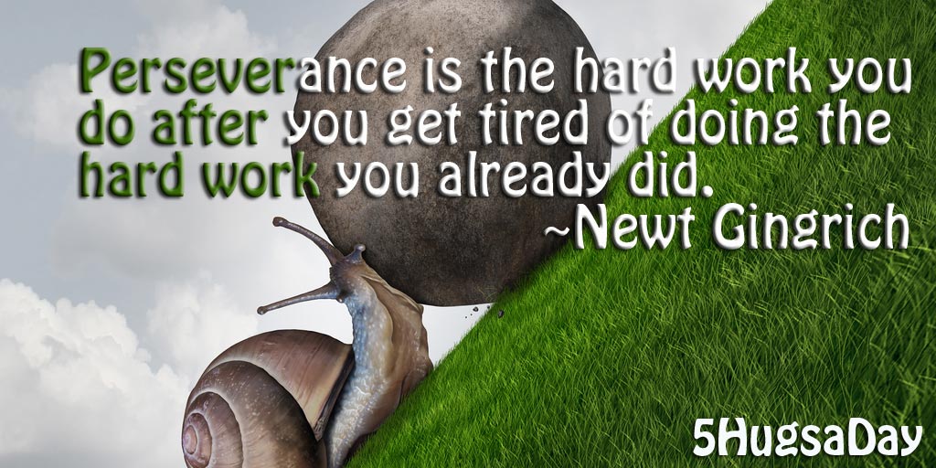 Perseverance is the Hard Work You Do… post image